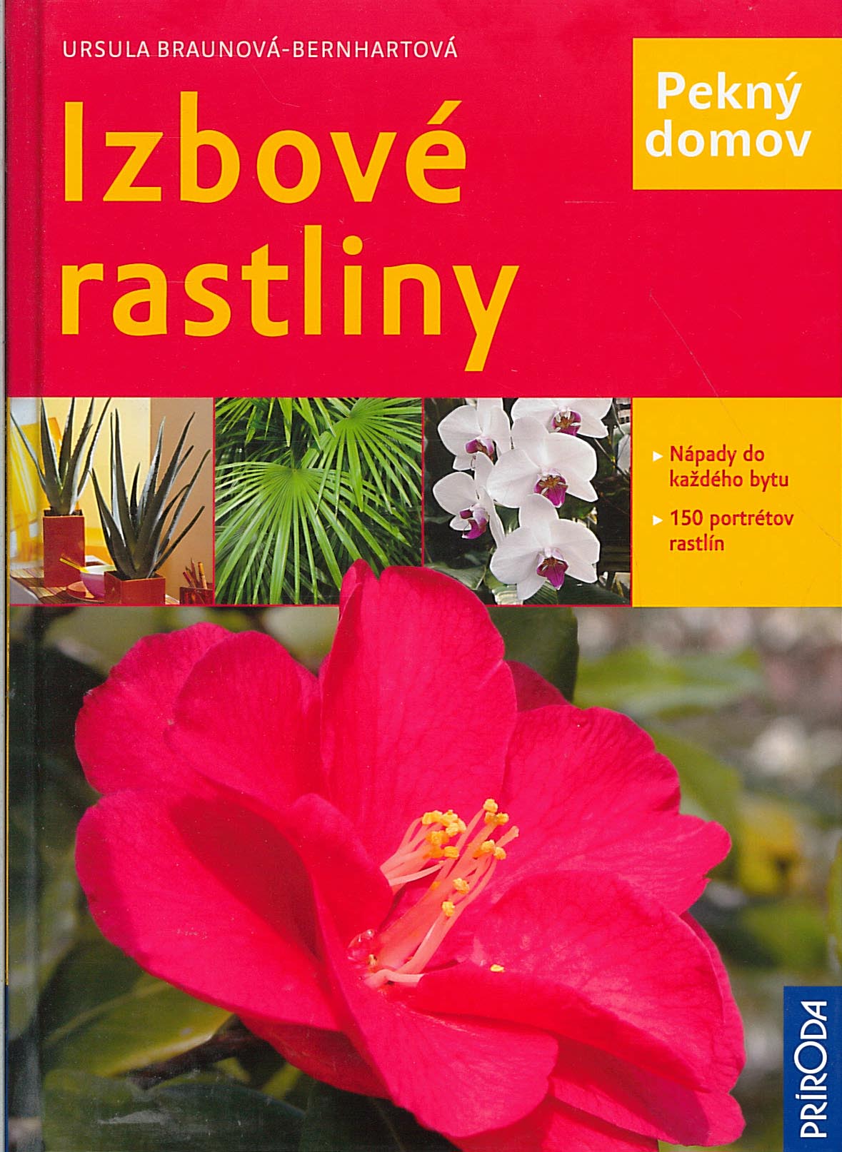 Izbové rastliny