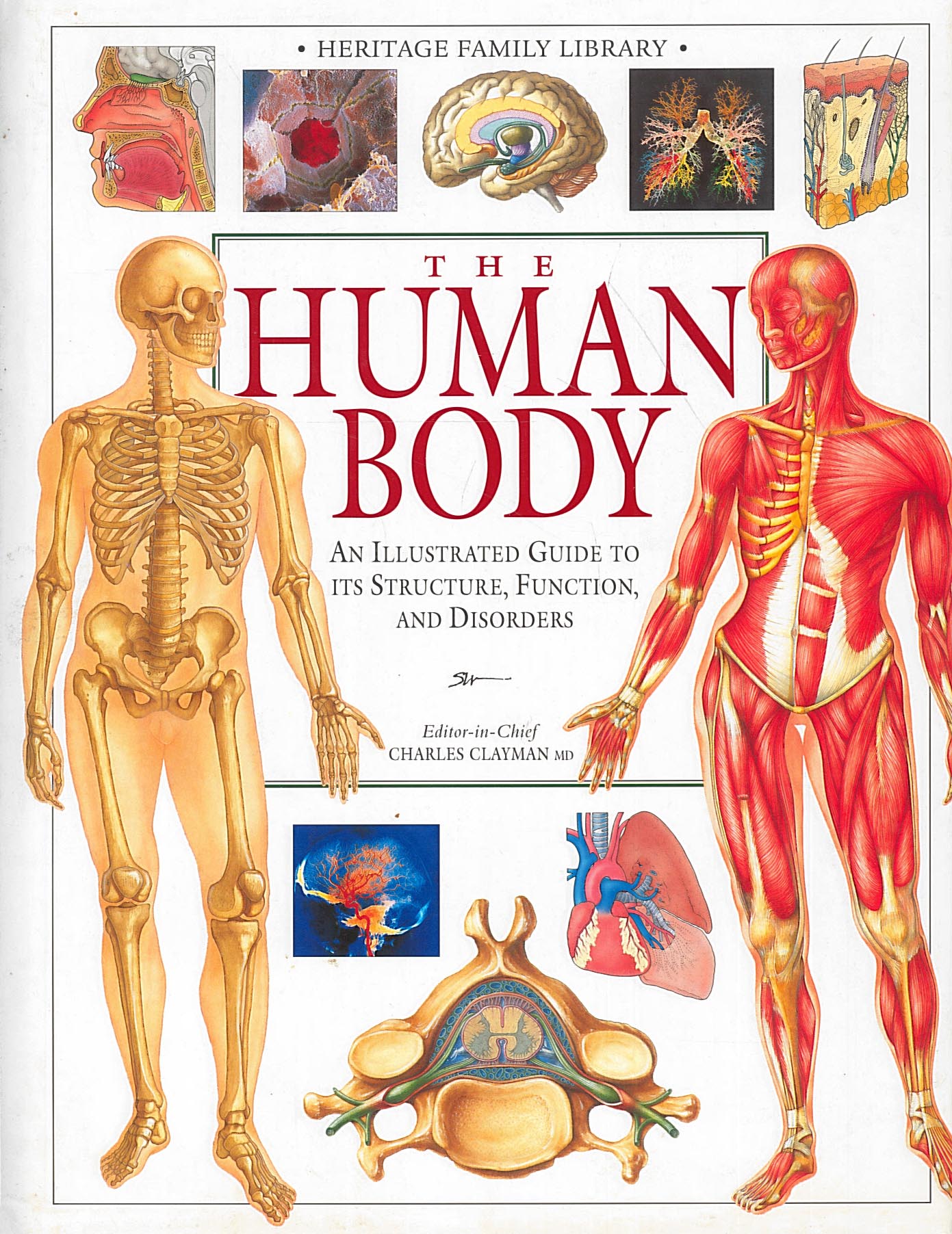 The Human Body (Charles Clayman)