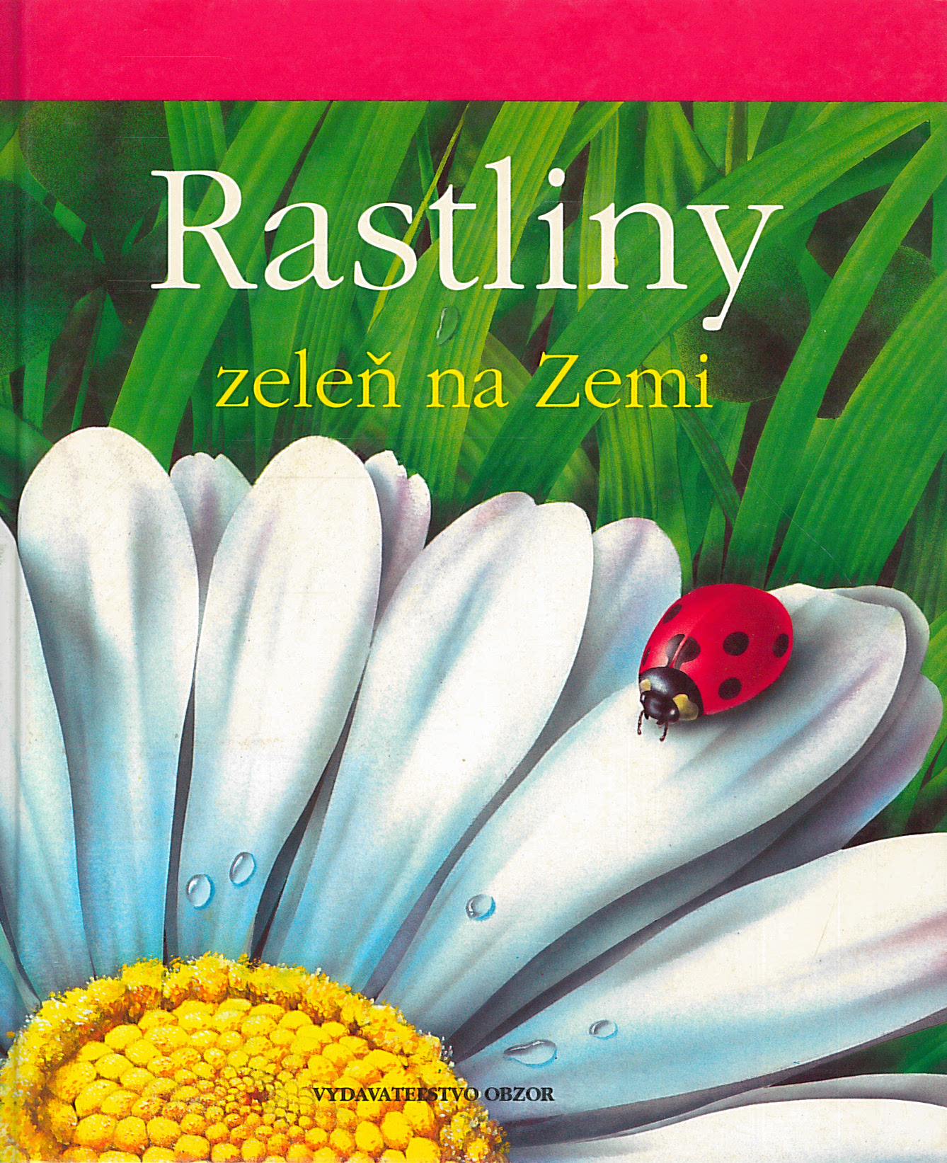 Rastliny 