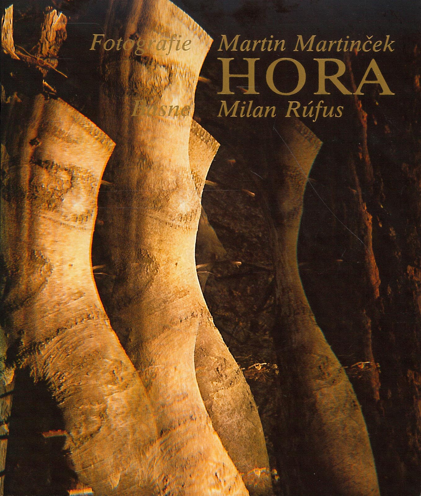 Hora (Milan Rúfus, Martin Martinček)